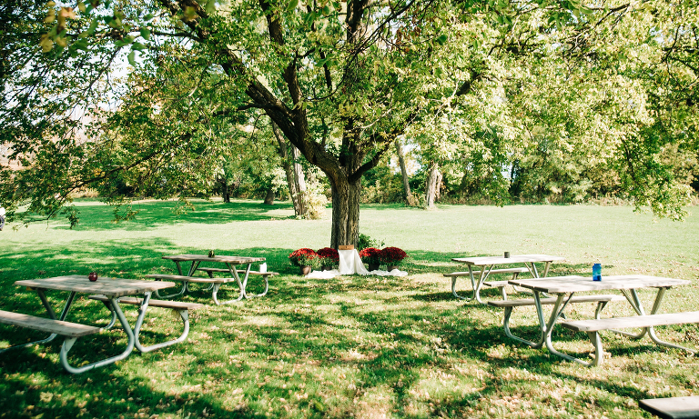 Grant Park wedding